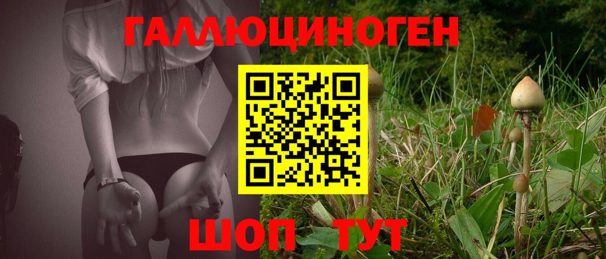 Миасс  Галлюциногенные грибы ЛСД  Вход с VPN 